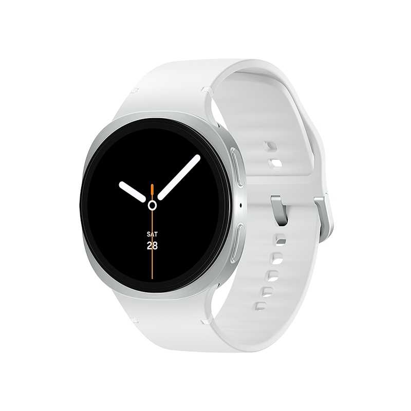 Samsung Galaxy L320 Watch 8 Silver